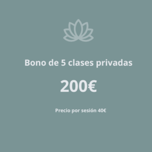 Bono de 5 Clases Particulares