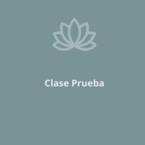 Bono de 5 Clases Particulares